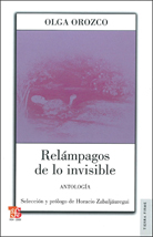 RELÁMPAGOS DE LO INVISIBLE