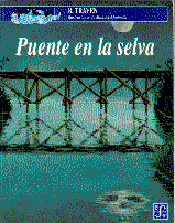PUENTE EN LA SELVA