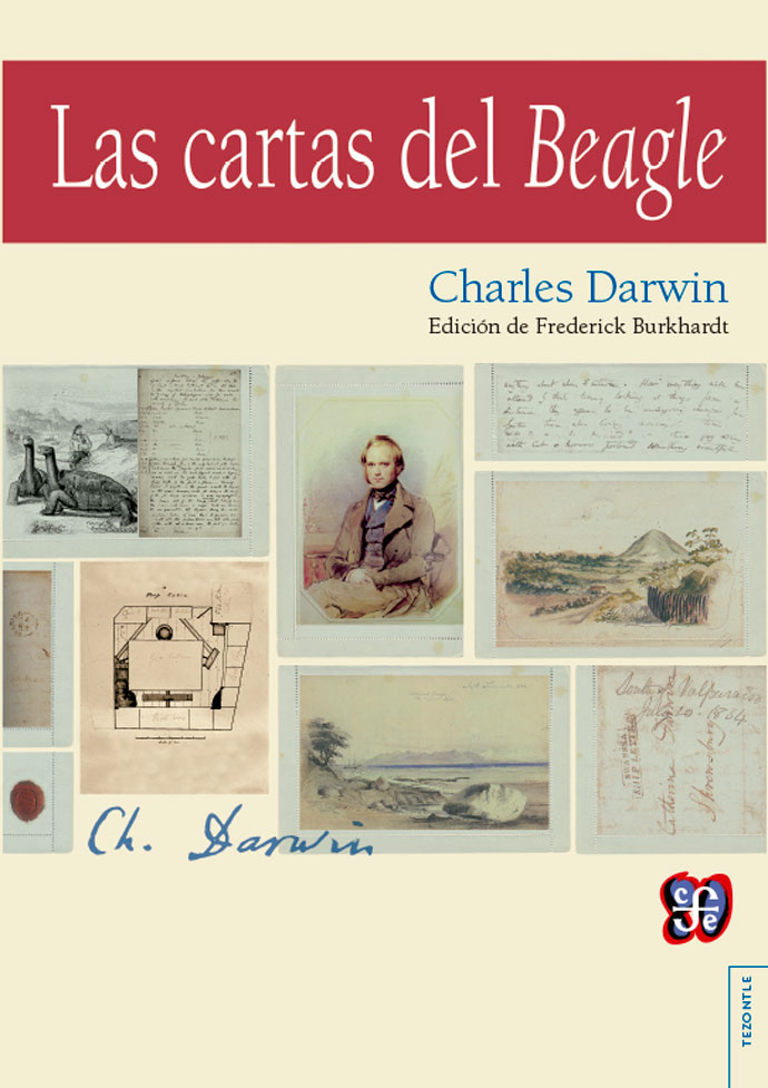 LAS CARTAS DEL <EM>BEAGLE</EM>
